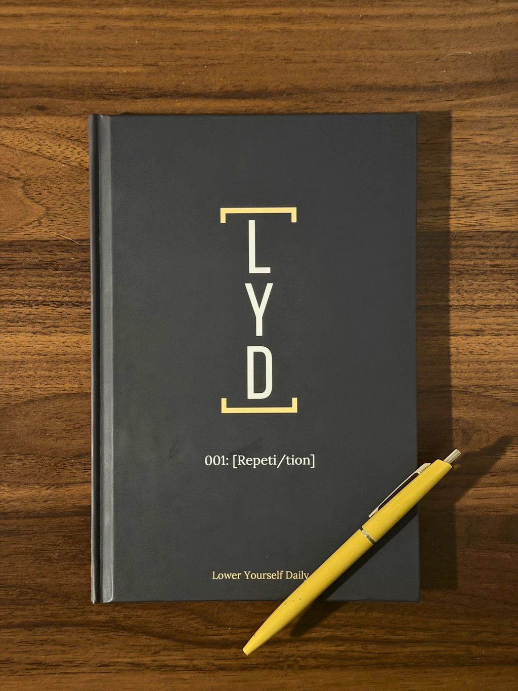 The Ambition Series 001: Repetition 40-Day Guided Journal