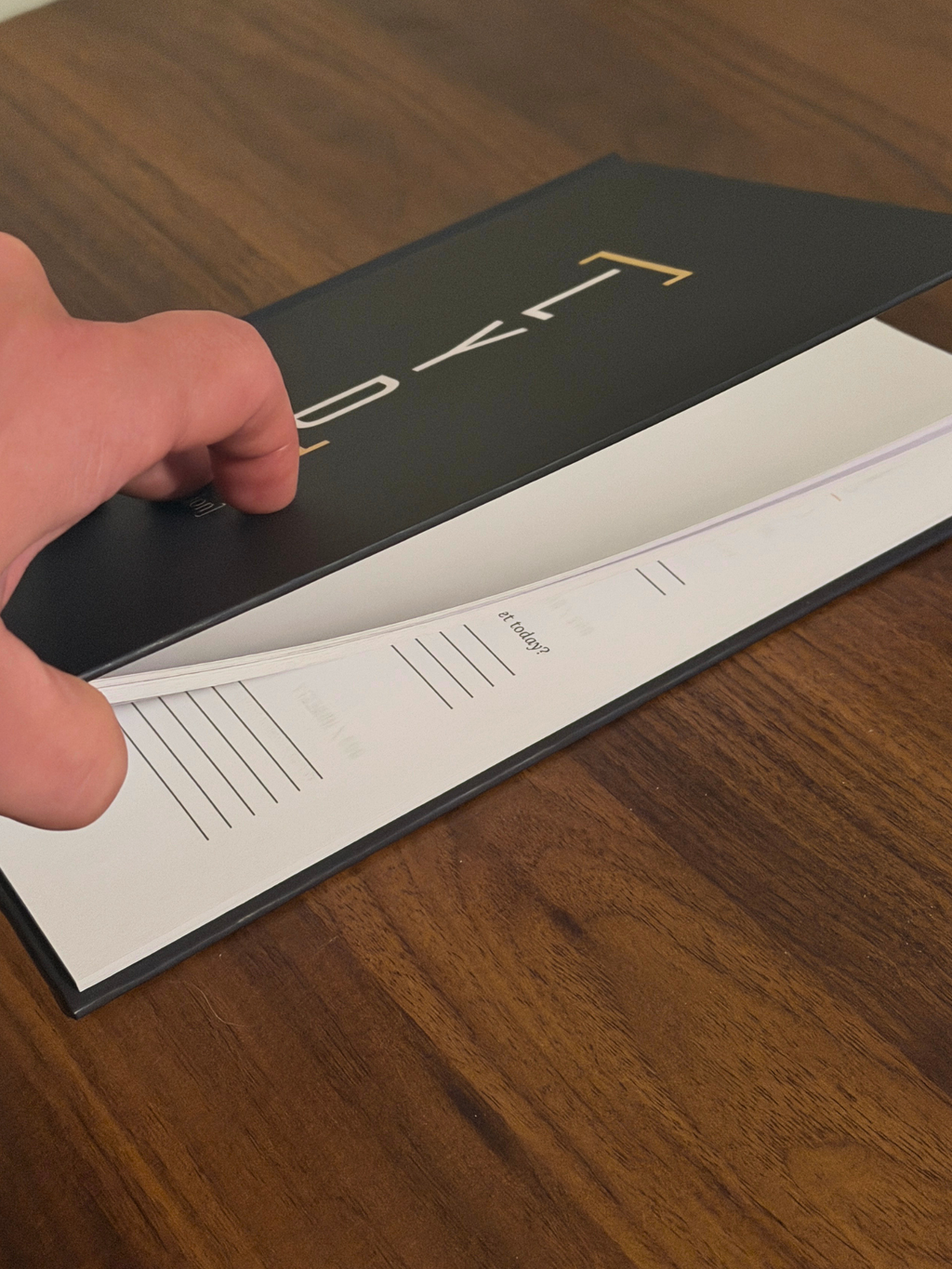 The Ambition Series 001: Repetition 40-Day Guided Journal